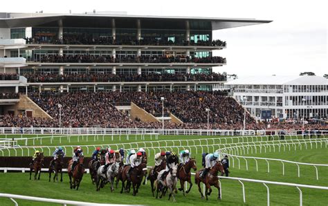 cheltenham tips thursday 2022|Cheltenham Festival day 3 tips: six horses to back on Thursday.